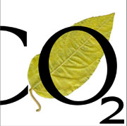 Kulturdreven innovation CO2